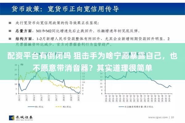 配资平台有倒闭吗 狙击手为啥宁愿暴露自己，也不愿意带消音器？其实道理很简单