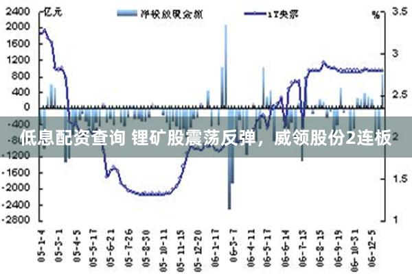 低息配资查询 锂矿股震荡反弹，威领股份2连板