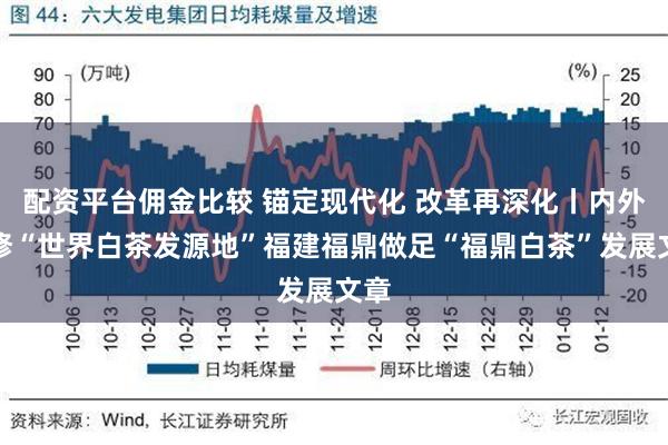 配资平台佣金比较 锚定现代化 改革再深化丨内外兼修“世界白茶发源地”福建福鼎做足“福鼎白茶”发展文章