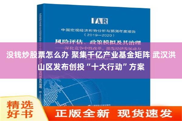 没钱炒股票怎么办 聚集千亿产业基金矩阵 武汉洪山区发布创投“十大行动”方案