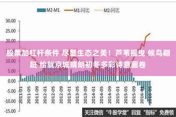 股票加杠杆条件 尽显生态之美！芦苇摇曳 候鸟翩跹 绘就京城晴朗初冬多彩诗意画卷