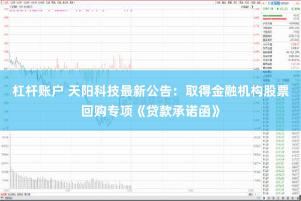 杠杆账户 天阳科技最新公告：取得金融机构股票回购专项《贷款承诺函》