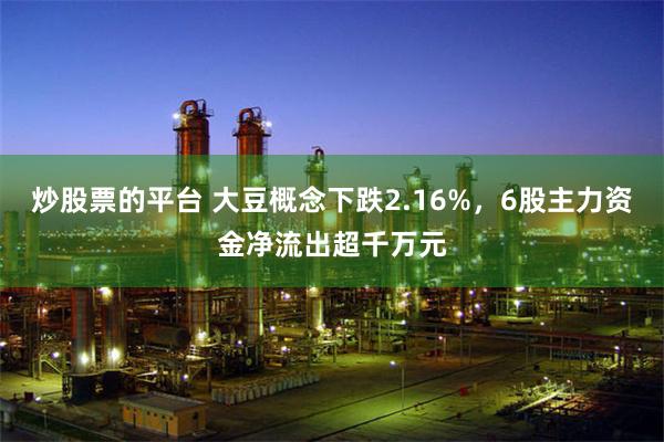 炒股票的平台 大豆概念下跌2.16%，6股主力资金净流出超千万元