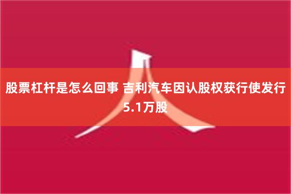 股票杠杆是怎么回事 吉利汽车因认股权获行使发行5.1万股